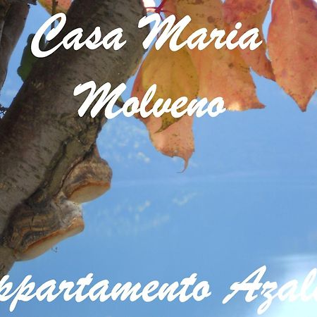 Апартаменти Casa Maria Мольвено Номер фото