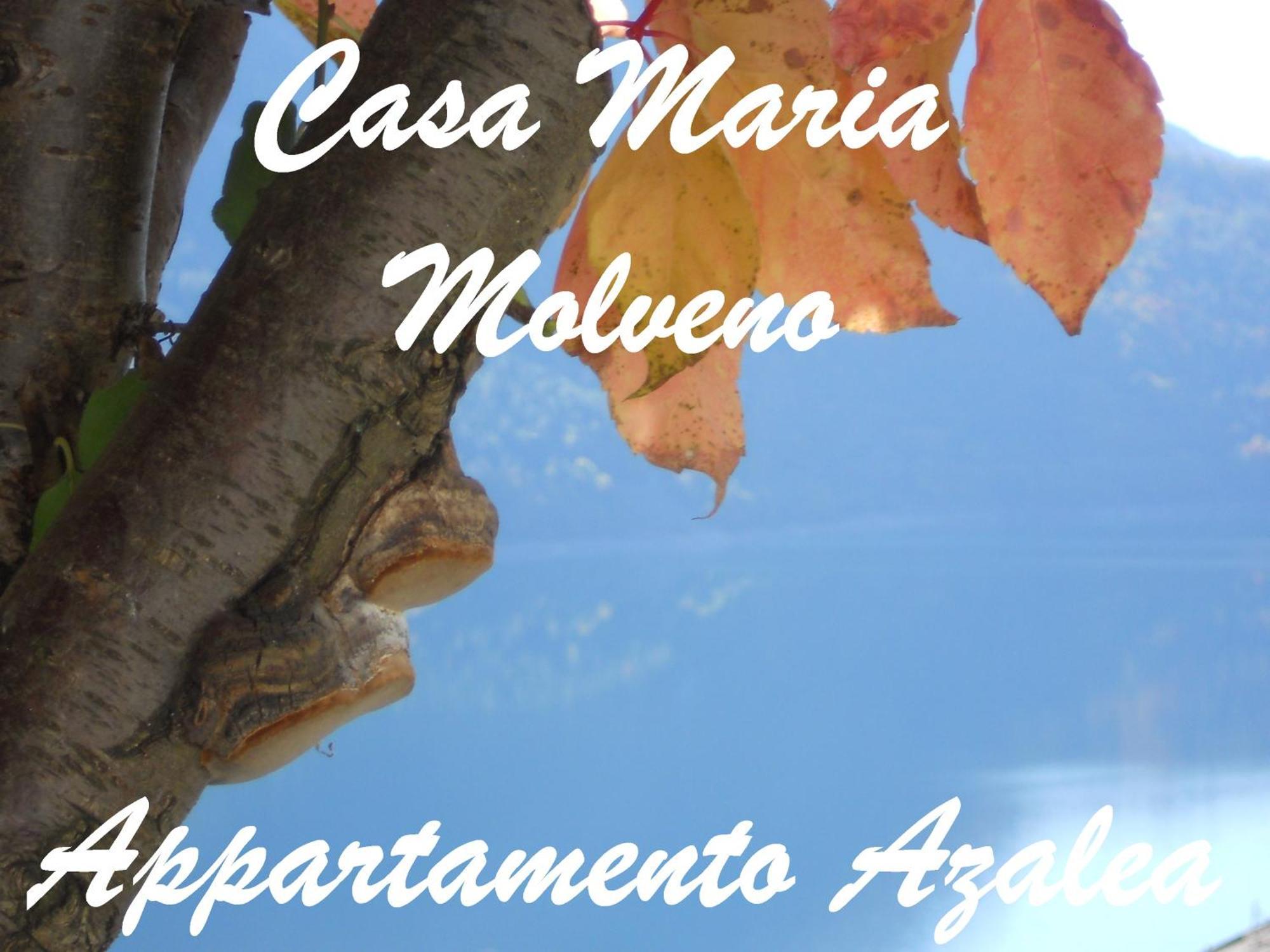 Апартаменти Casa Maria Мольвено Номер фото